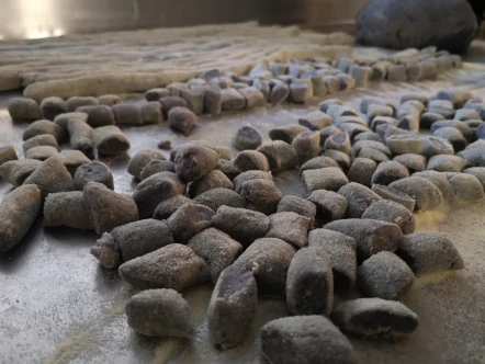 Gnocchi fatti in casa - Ristorante Grange Tachier